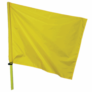 WCS Control Flag