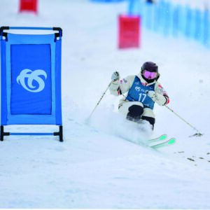 SPM Mogul Control Panels